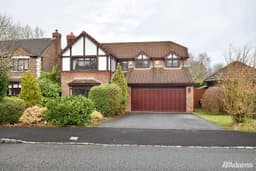 Property preview