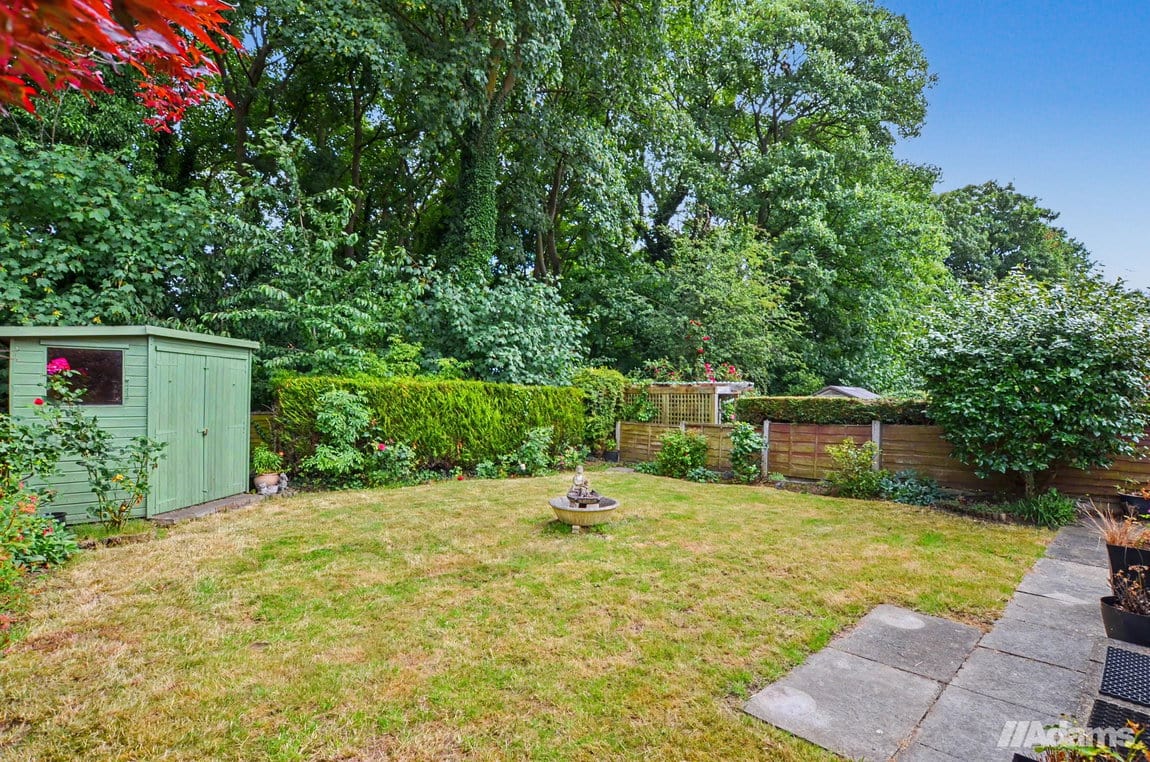 Number 26
