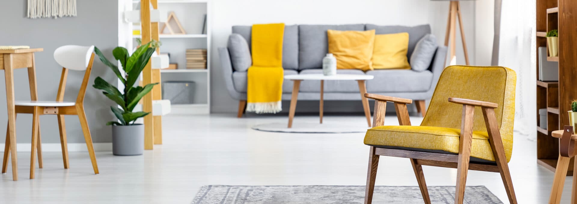 Lettings & Property Management
